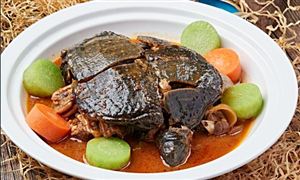 中研网行业资讯_中研普华行业研究网